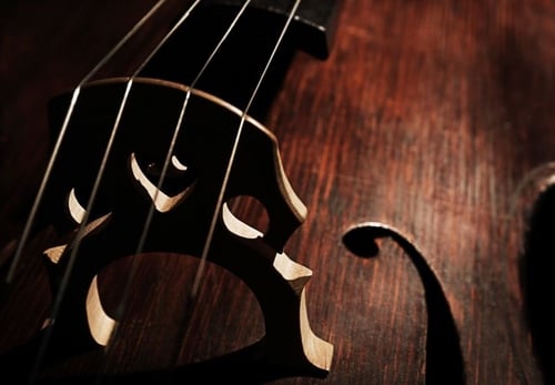 violin